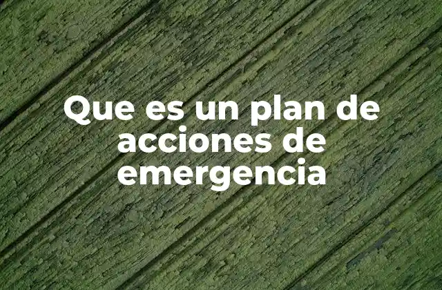 Que es un Plan de Acciones de Emergencia