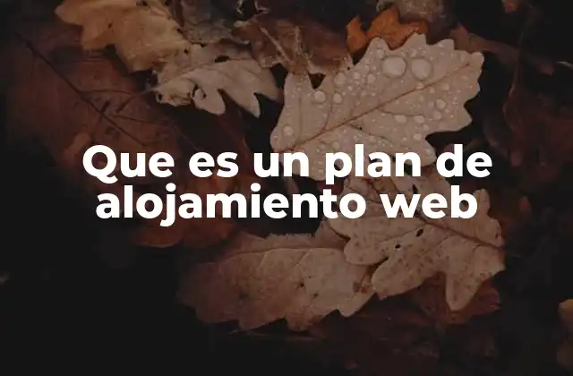 Que es un Plan de Alojamiento Web
