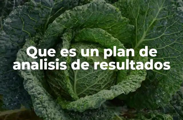 Que es un Plan de Analisis de Resultados