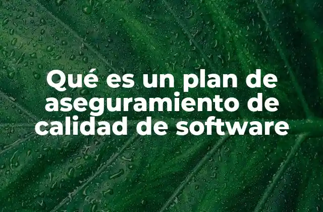 Qué es un Plan de Aseguramiento de Calidad de Software