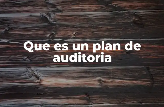 Que es un Plan de Auditoria