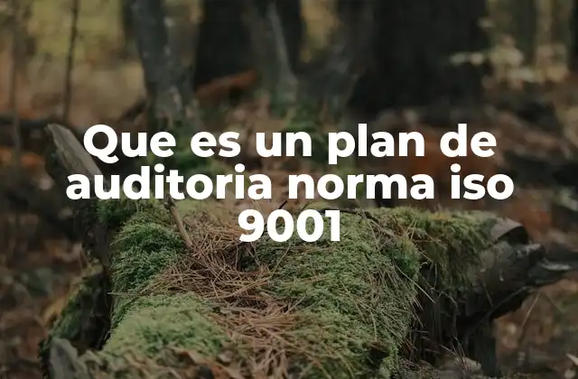 Que es un Plan de Auditoria Norma Iso 9001 2 Importancia del plan de auditoría en la gestión de la calidad