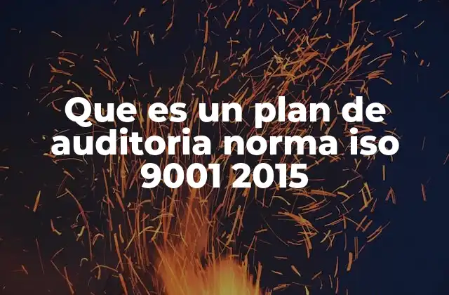 Que es un Plan de Auditoria Norma Iso 9001 2015