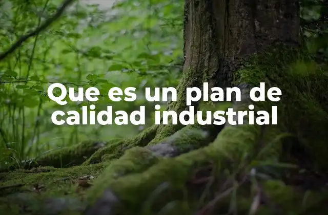 Que es un Plan de Calidad Industrial