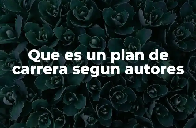 Que es un Plan de Carrera Segun Autores