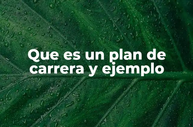 Que es un Plan de Carrera y Ejemplo