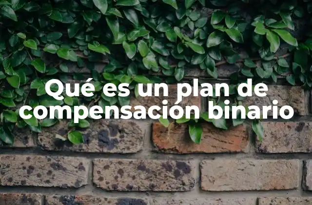 Qué es un Plan de Compensación Binario