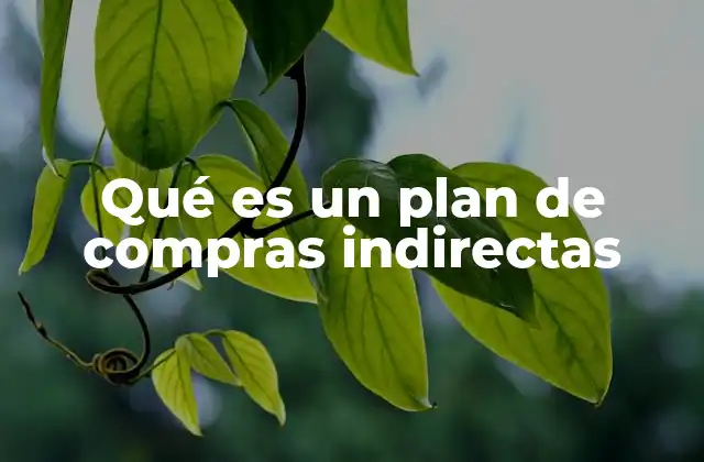 Qué es un Plan de Compras Indirectas