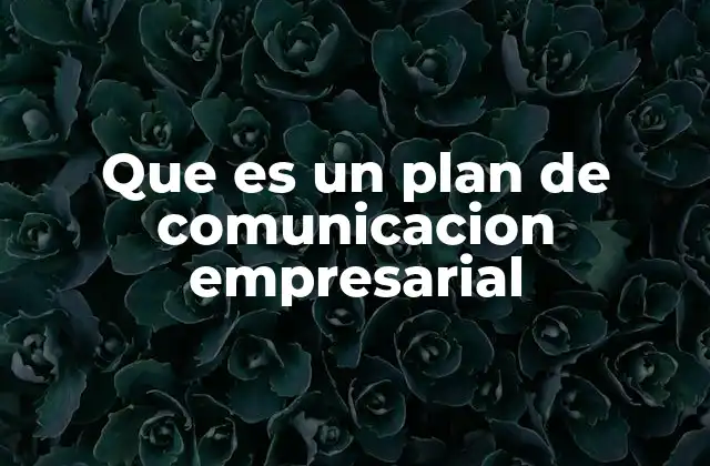 Que es un Plan de Comunicacion Empresarial
