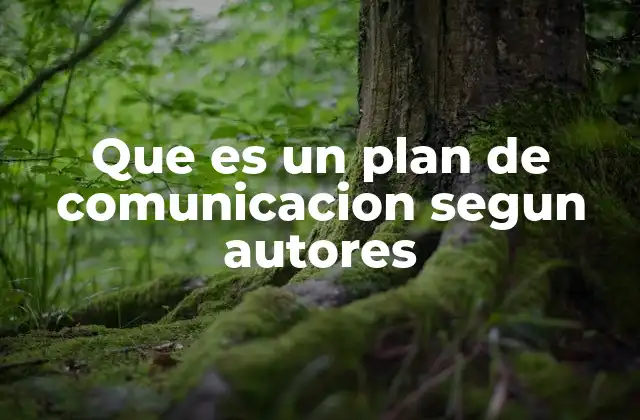 Que es un Plan de Comunicacion Segun Autores