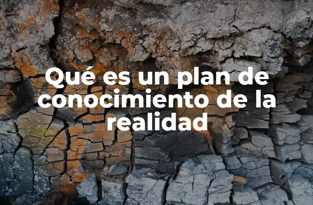 Qué es un Plan de Conocimiento de la Realidad