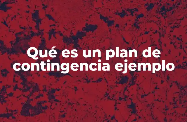 Qué es un Plan de Contingencia Ejemplo