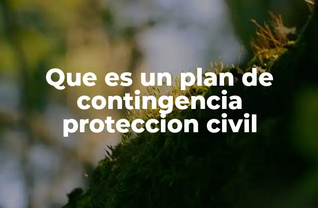 Que es un Plan de Contingencia Proteccion Civil 2 La importancia de contar con una estrategia clara ante emergencias