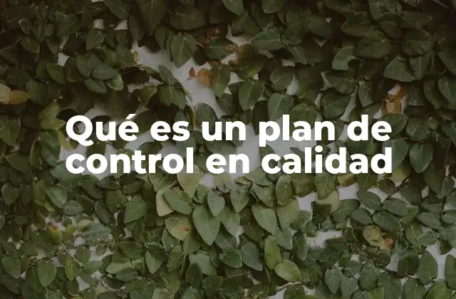 Qué es un Plan de Control en Calidad