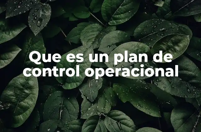 Que es un Plan de Control Operacional