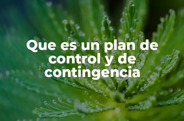 Que es un Plan de Control y de Contingencia