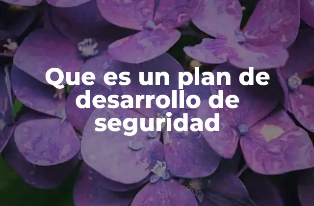 Que es un Plan de Desarrollo de Seguridad