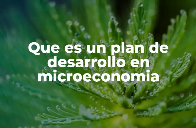 Que es un Plan de Desarrollo en Microeconomia