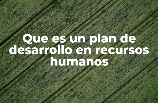 El rol del desarrollo humano en la evolución de una empresa