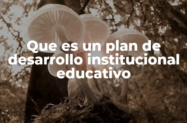 Que es un Plan de Desarrollo Institucional Educativo