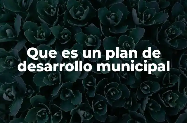 Que es un Plan de Desarrollo Municipal