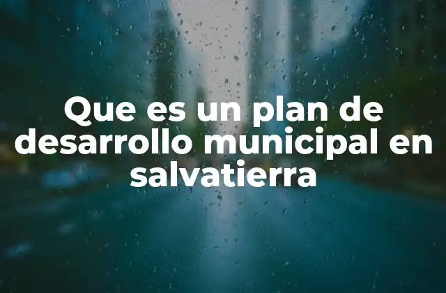 Que es un Plan de Desarrollo Municipal en Salvatierra