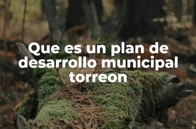 Que es un Plan de Desarrollo Municipal Torreon 2 La importancia de la planificación urbana en Torreón
