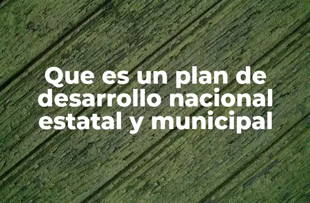 Que es un Plan de Desarrollo Nacional Estatal y Municipal