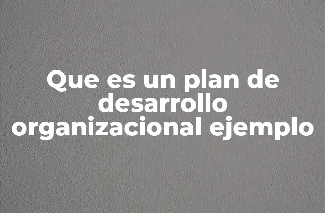 Que es un Plan de Desarrollo Organizacional Ejemplo