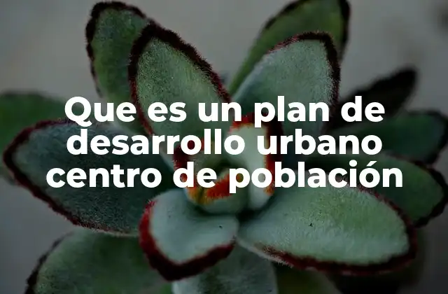 Que es un Plan de Desarrollo Urbano Centro de Población