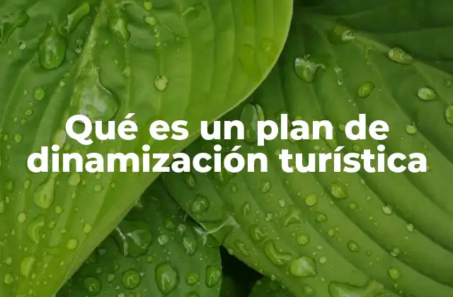 Qué es un Plan de Dinamización Turística 2 La importancia de la planificación en la dinamización turística