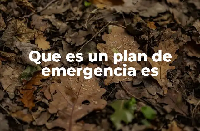 Que es un Plan de Emergencia es