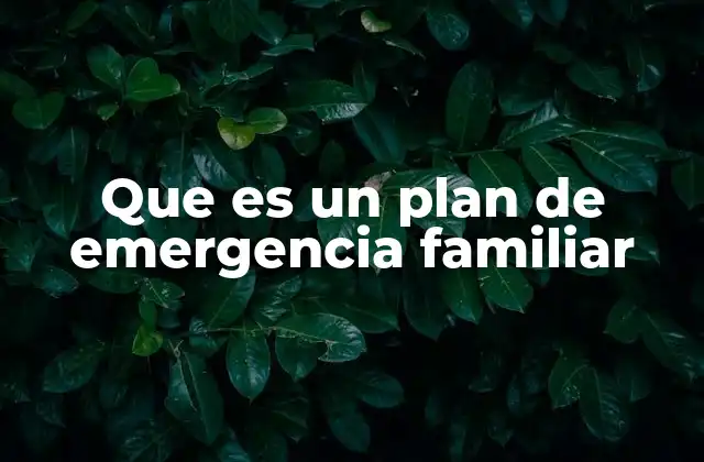 Que es un Plan de Emergencia Familiar