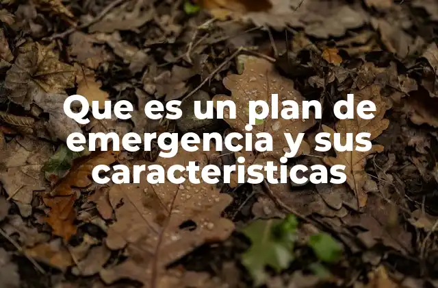 Que es un Plan de Emergencia y Sus Caracteristicas 2 La importancia de contar con una estrategia clara ante situaciones críticas