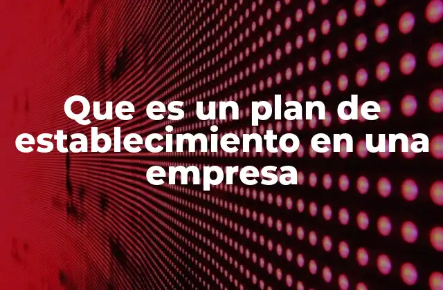 Que es un Plan de Establecimiento en una Empresa