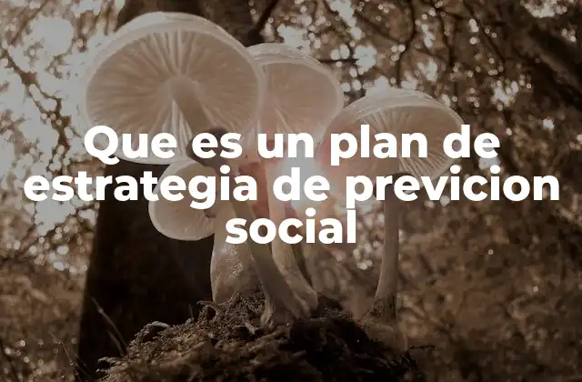 Que es un Plan de Estrategia de Previcion Social