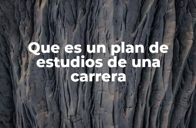 Que es un Plan de Estudios de una Carrera