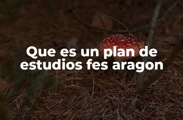 Que es un Plan de Estudios Fes Aragon