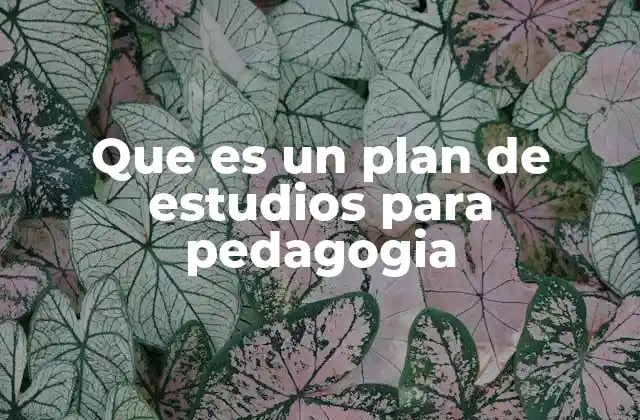 Que es un Plan de Estudios para Pedagogia
