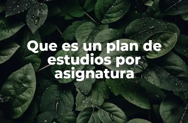 Que es un Plan de Estudios por Asignatura