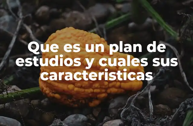 Que es un Plan de Estudios y Cuales Sus Caracteristicas