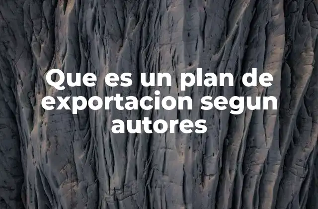 Que es un Plan de Exportacion Segun Autores