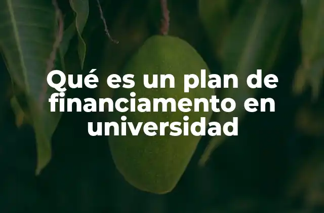 Qué es un Plan de Financiamento en Universidad