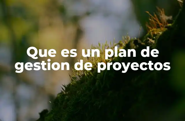 Que es un Plan de Gestion de Proyectos