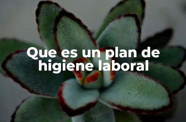 Que es un Plan de Higiene Laboral 2 La importancia de un entorno laboral saludable