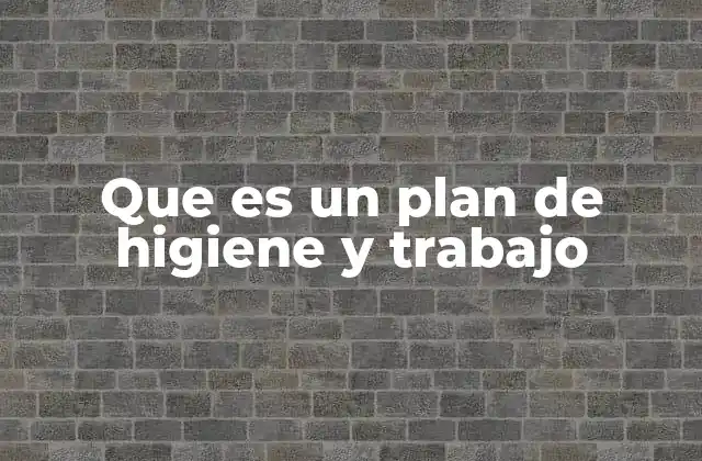 Que es un Plan de Higiene y Trabajo