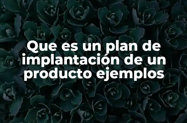 Que es un Plan de Implantación de un Producto Ejemplos