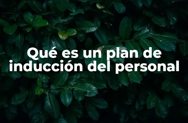 Qué es un Plan de Inducción Del Personal