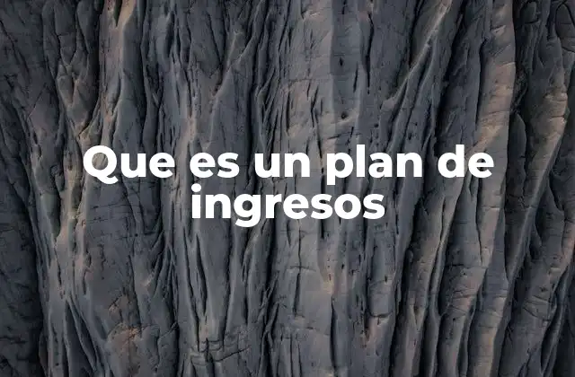 Que es un Plan de Ingresos