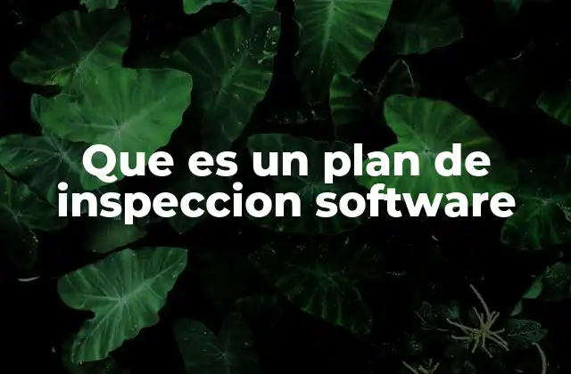 Que es un Plan de Inspeccion Software